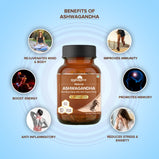 NATURAL ASHWAGANDHA CAPSULE 500mg (with 5% Withanolides) | Reduces Stress & Anxiety | 100% Natural, Certified Organic Herbs