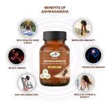 Anahatatva NATURAL ASHWAGANDHA CAPSULE 500mg (with 5% Withanolides) – benefits